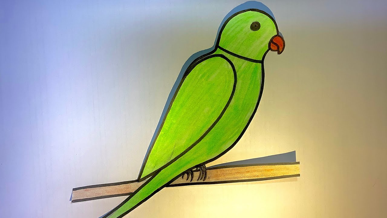 How to Effectively Draw a Parrot: Essential Tips for Beginners in 2025