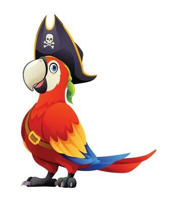 Pirate Parrot With Accessories