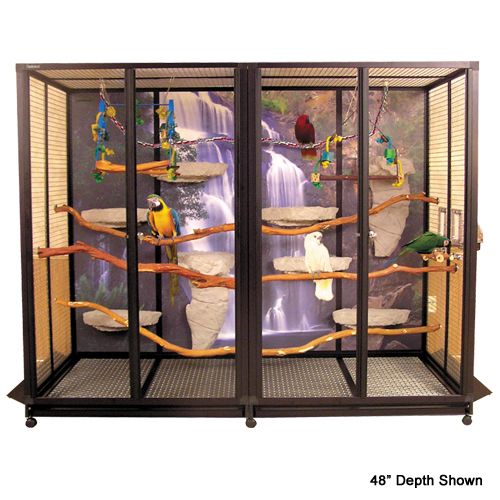 Comprehensive Guide to the Best Parrot Cages for Happy Birds in 2025