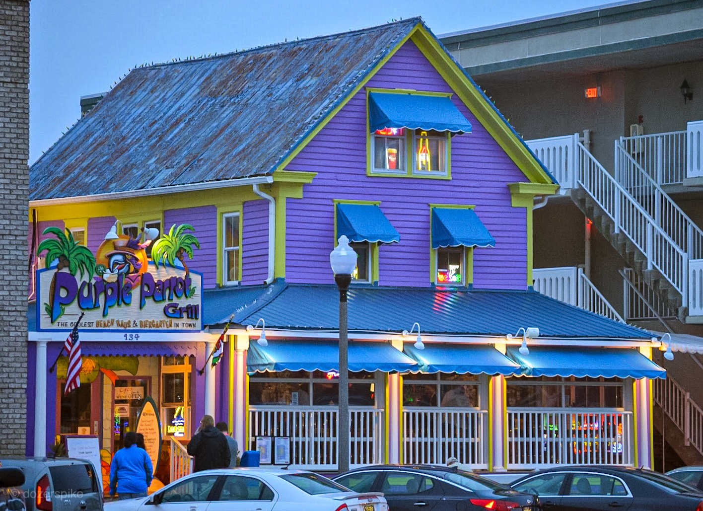 Dining at Purple Parrot Rehoboth Beach