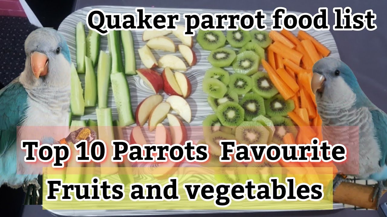 Quaker Parrot Food