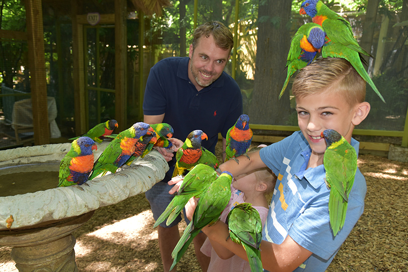 Discover the Best 5 Ways to Experience Parrot Mountain and Gardens in 2025